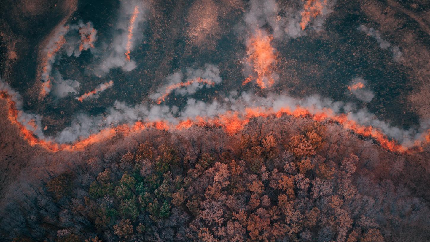Areal view of climate