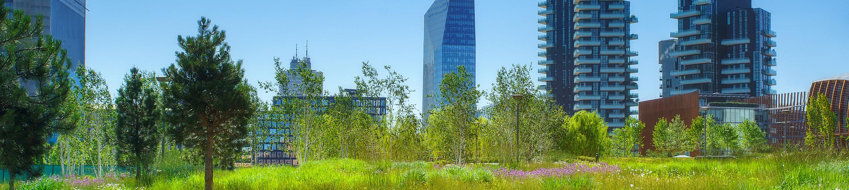 A cityscape with threes, and an open field in the background